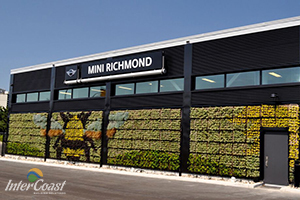 MINI Cooper in Richmond BC Goes Evergreen with Living Green Wall