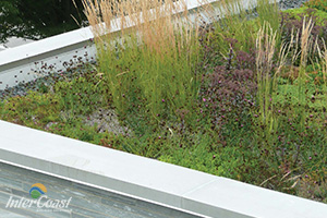 Division 32 Architectural Products - Curv-Rite Landscape Edging for Green Roofs & Gardens | Intercoast Building Solutions BC & AB
