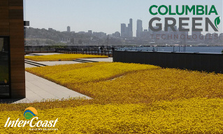 Green Roof Systems for Vancouver BC with Columbia Green Technologies Green Roof Solutions