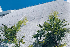 Decorcable Cable Systems for Green Walls & Vertical Landscaping